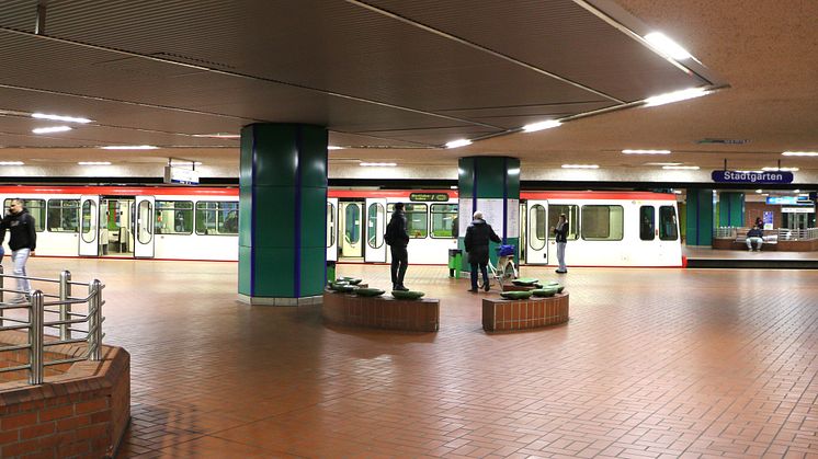 Stadtbahnhaltestelle Stadtgarten Ebene -1 b.JPG
