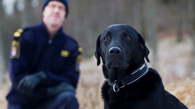 Charlie är Årets narkotikasökhund