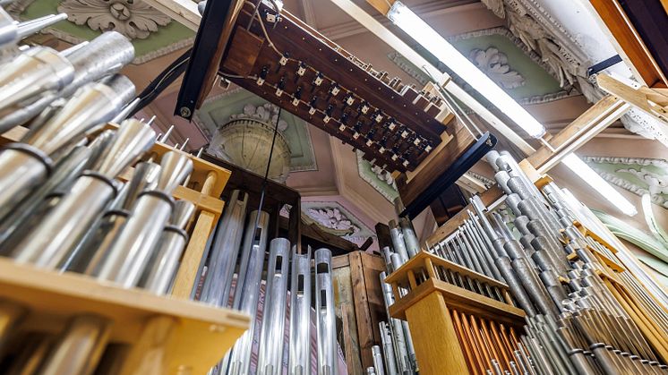 Orgelfestwoche in der Nikolaikirche - Das Register Panamera – Stahlspiel