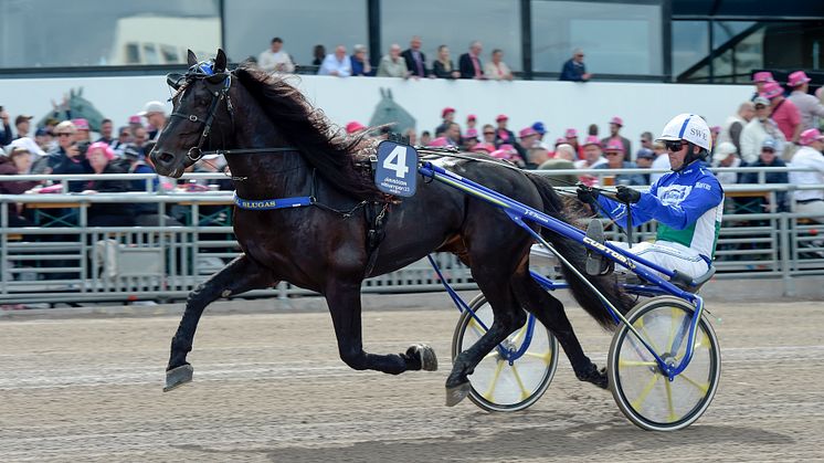 Järvsöodin kommer för att ta revansch framför Elitloppspubliken Foto: TR Bild