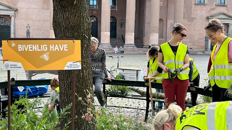 Miljødag3.jpg