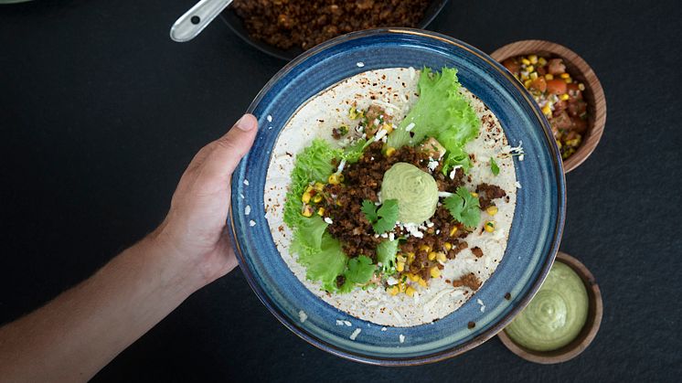 Taco med hand_02.jpg