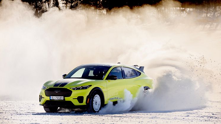 2024 Mustang Mach-E Rally Gol (5).jpg