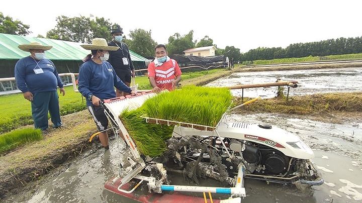 philippines-rice.jpg