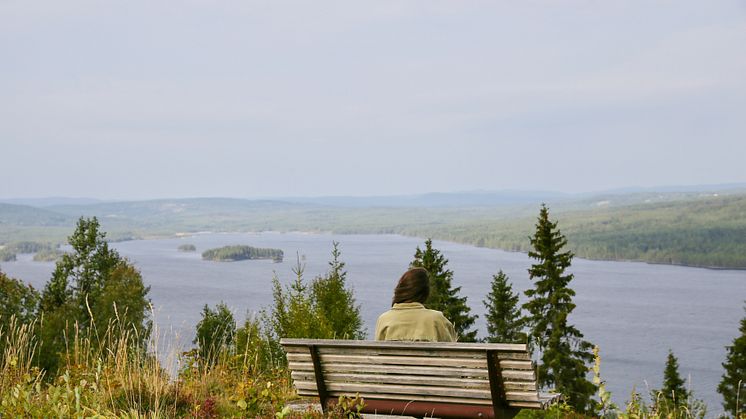 Finnskogtoppen_Hanne Marit Tobiassen 6.JPG