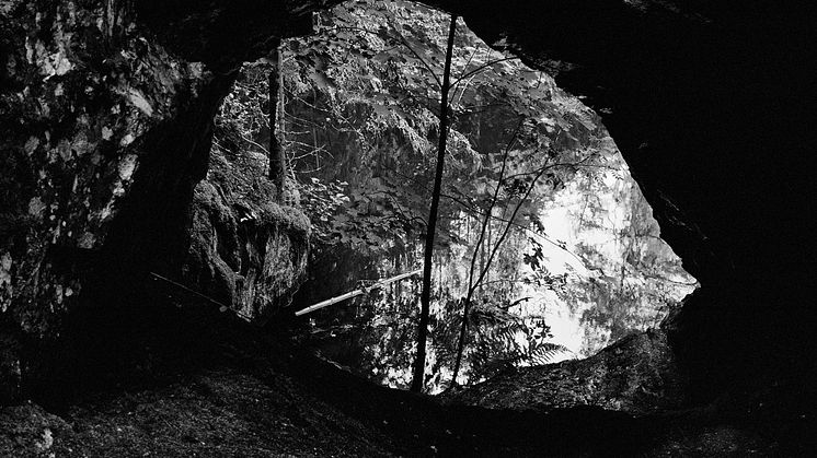  Inga Linn Härdelin, Hole, Whole, Hoop (2024 -)