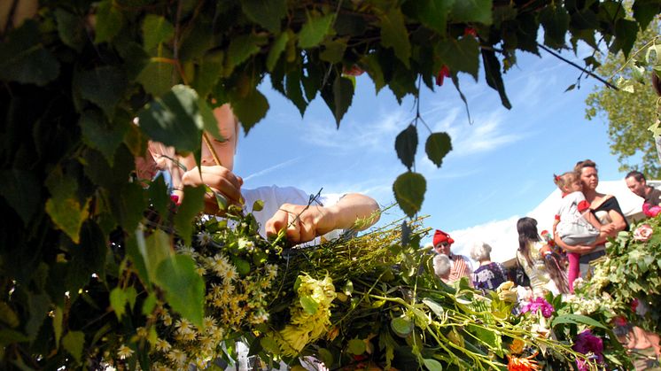 Midsommar i Folkets Park med knätofsar och samba.