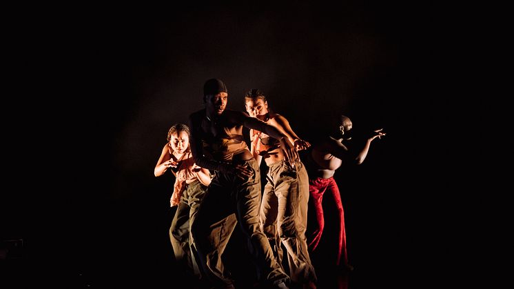 Company Nicolas Huchard - The barefoot diva