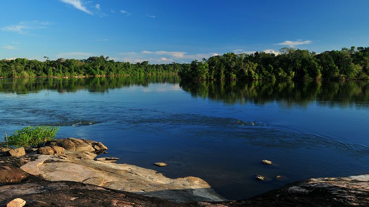 Peugeots CO2-brønd i Amazonas