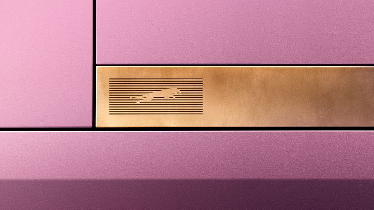 Design Vision Leaper on Ingot_SH017.jpg