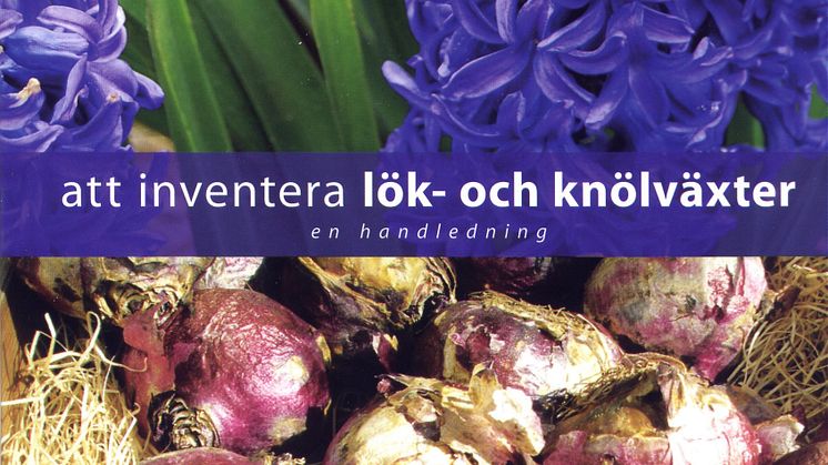 Hyacinter och andra lökväxter räddas åt eftervärlden