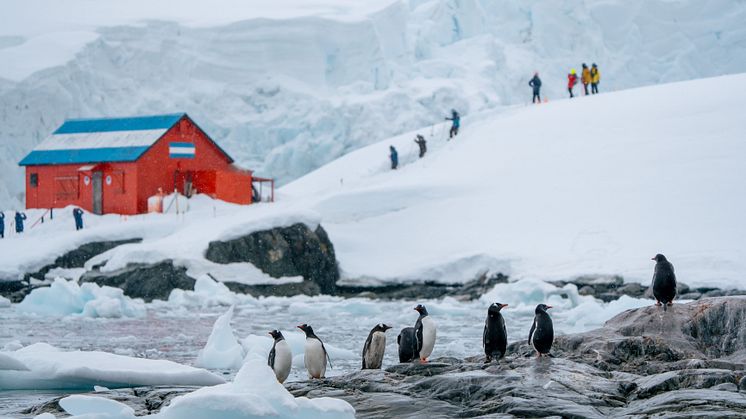 HX_Antarctica_Paradise_Bay_Brown_Station_Photo_Kay_Fochtmann.jpg