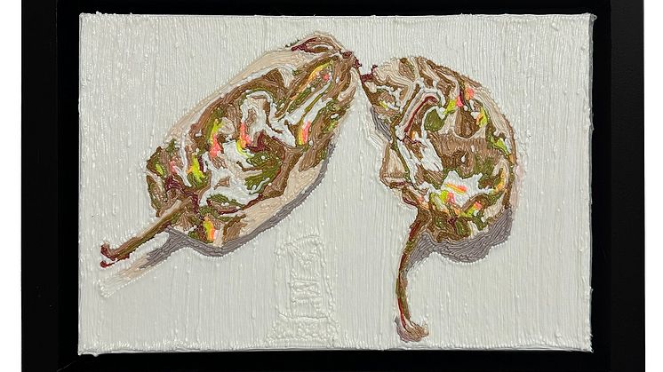 Mircea MODREANU, Ardei, melted plastic on canvas, 36 x 25 cm, 2024.jpg