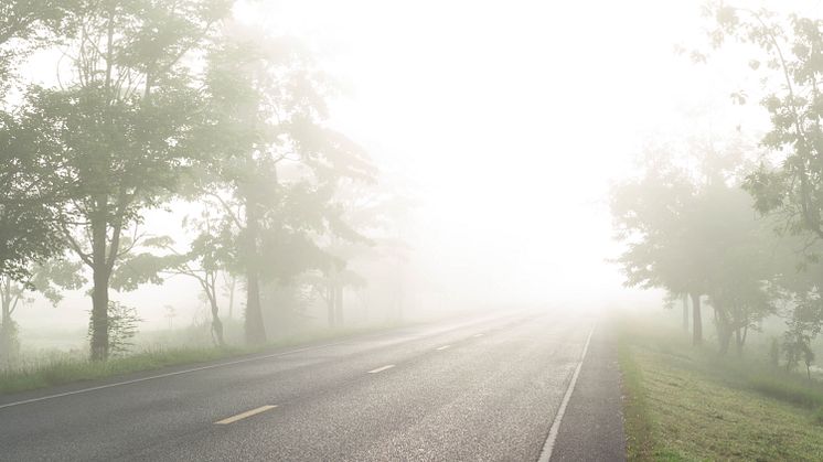 Stay Safe on the Roads: Essential Tips for Driving and Riding in Late Autumn Weather 