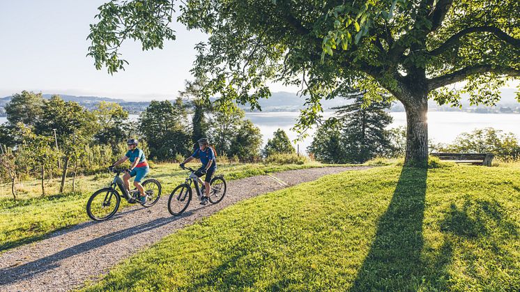 E-Bike in der Region Zürich