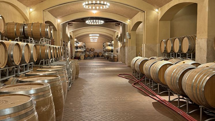 Cecchi Cellar.jpg
