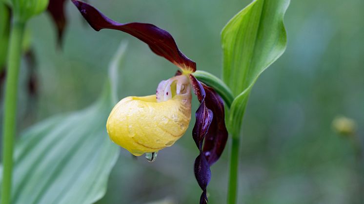 Ökokonto_Egling_ (1).jpg