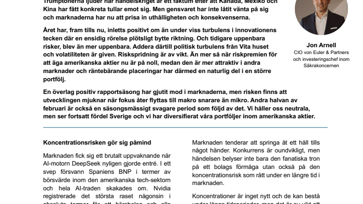 Marknadssyn Februari 2025.pdf