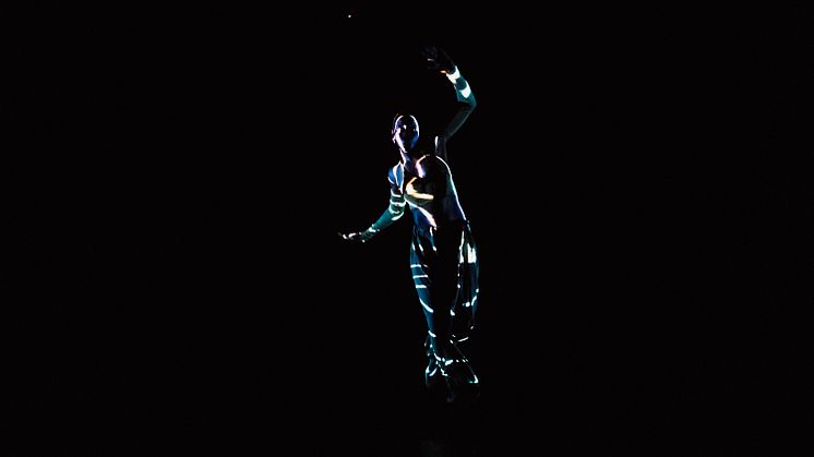 Company Nicolas Huchard - The barefoot diva