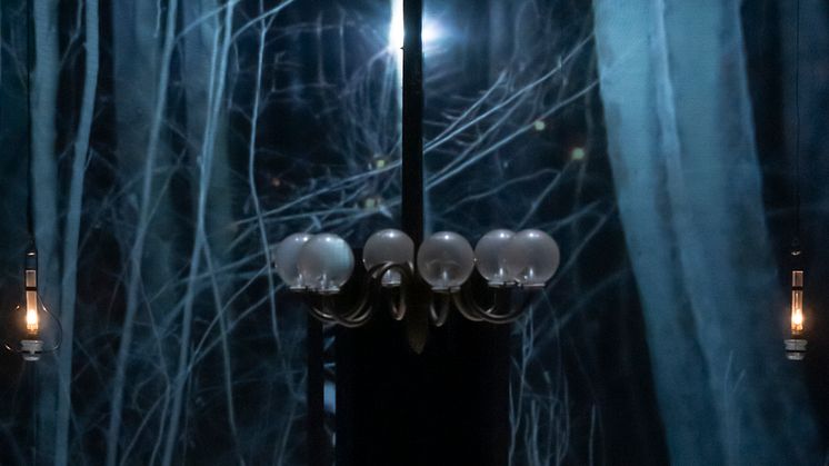 Framsyningsfoto, Lady Macbeth