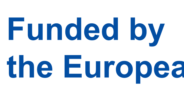 EN-Funded by the EU-POS.png