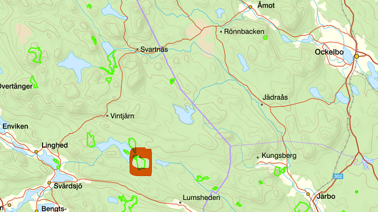 Erik-Hanstjarn.png