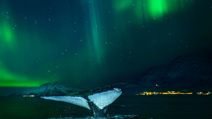 Northern_lights_Norway_HGR_122616_Photo_Audun_Rikardsen.jpg