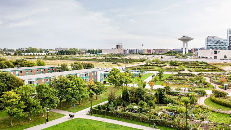 Vill du bygga i Holma? Nu öppnar Malmö stad för nya markanvisningar i området.