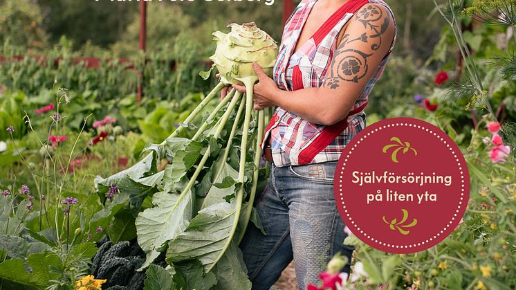 SKILLNADENS_31_DAGAR_OMSLAG.jpg