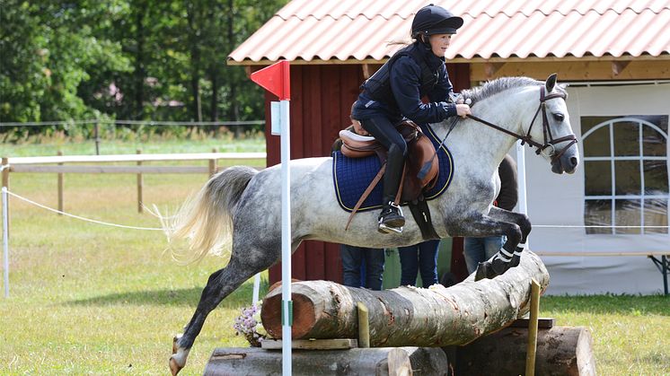 Samarbetet mellan Sveland Djurförsäkringar och Sugar Cup sträcker sig över tre år. Foto: Victoria Johansson/Sugar Cup