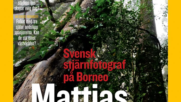 MK, SV, NG COVER 14_2008.tif