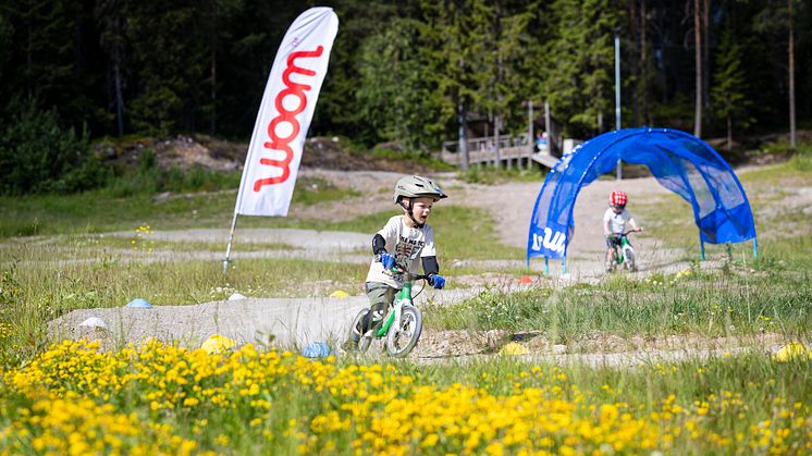 240627_OM_trysil_woom.jpg