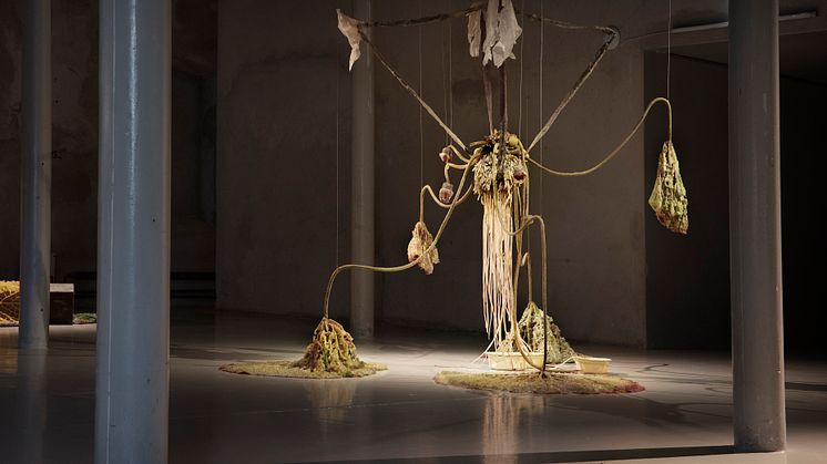 Roland Persson - Being Mortal Hurts, Färgfabriken 2025