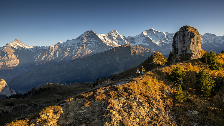 KeyVisual_Schynige-Platte-Herbst-Wandern-Daube-runter_©Jungfraubahnen.png