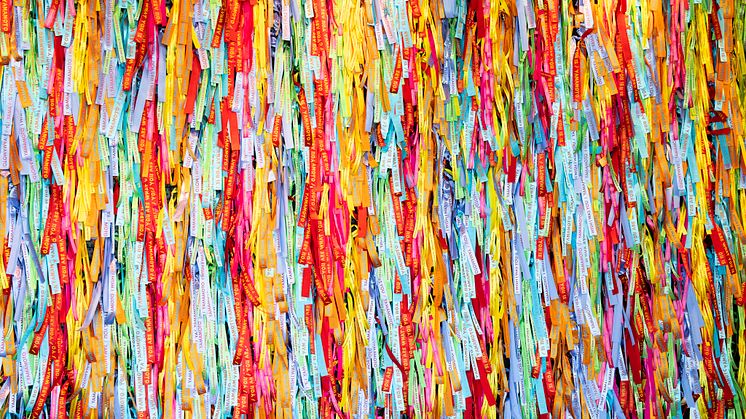 Utstillingsbilde/Exhibition Photo