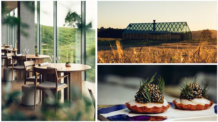 Restaurant Äng Ästad Vingård Foto Restaurant Äng .jpg