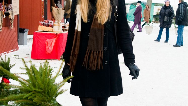 Julmarknad Katrinetorp