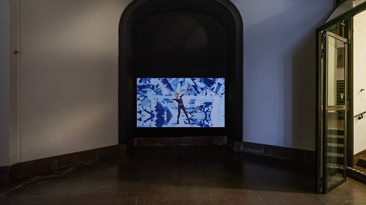Installationsbild, Bugs & Metamorphosis Glitching Photography