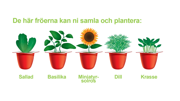 Möt våren med gröna fingrar! Odla goda kryddor och vackra blommor tillsammans med Danonino