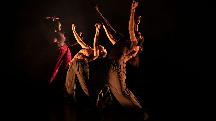 Company Nicolas Huchard - The barefoot diva