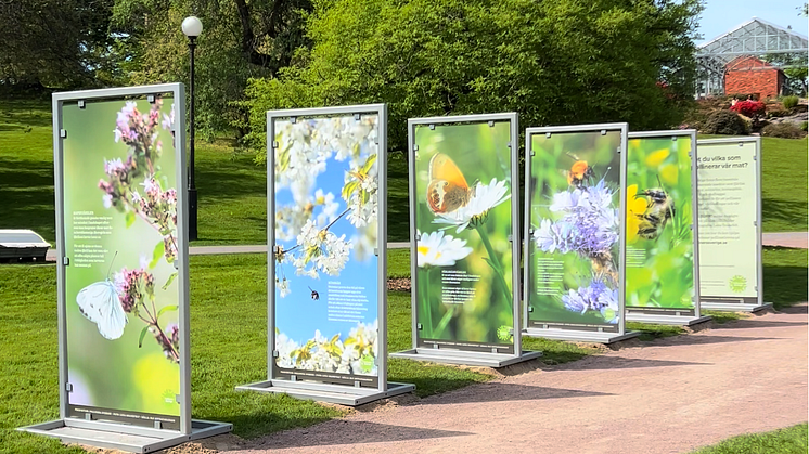 SURR finns i Botaniska trädgården från 19 maj–1 september.