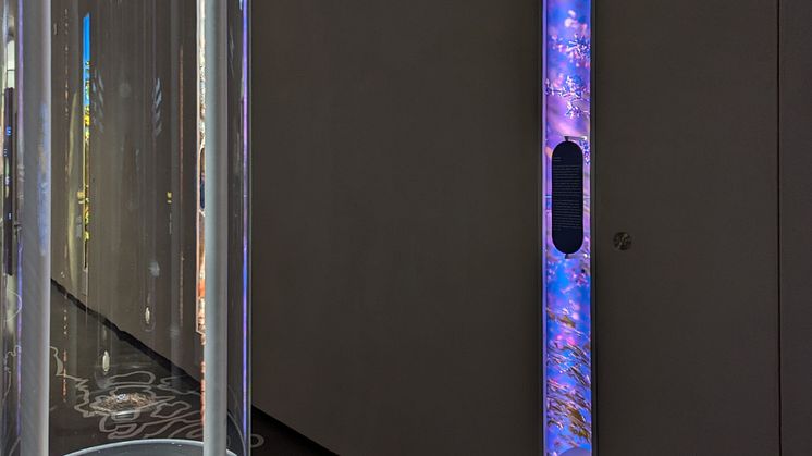 Sensoria Holzminden I Duftgalerie Lavendel-Nische.jpg