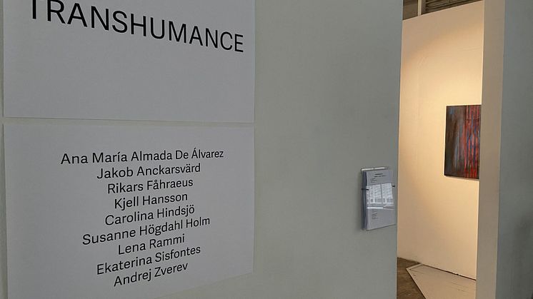 trancehumance.jpeg