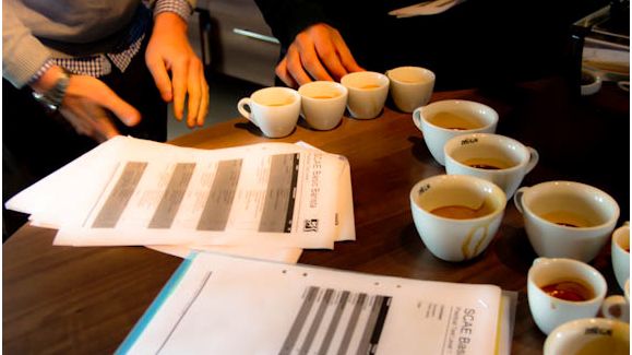Kaffekvalitet avgörs med hjälp av protokoll och perfektion