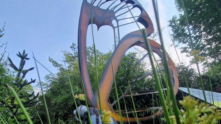 Zoo Leipzig: Glasflügelfalter - Flugkünstler mit filigraner Bauweise