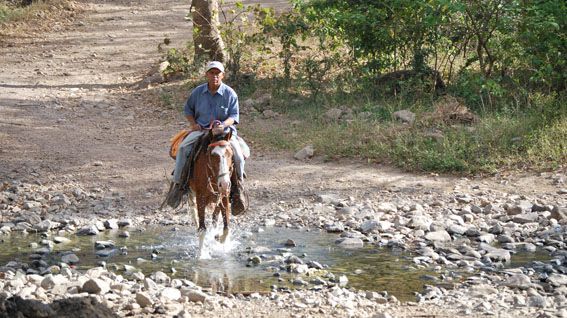 San Juan de Limay - Trädplanteringen