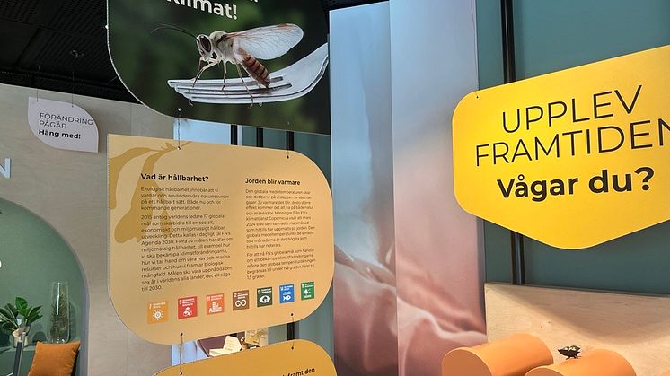 Det är fokus på klimatet i Kungsbacka Live. Foto: Kungsbacka kommun