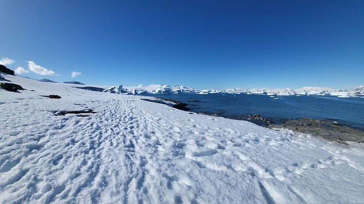 The UK Centre for Polar Observation and Modelling (CPOM) has been awarded over £400,000 by the European Space Agency to investigate tipping points in the Earth’s icy regions with a focus on the Antarctic. Photo by Professor Andrew Shepherd.