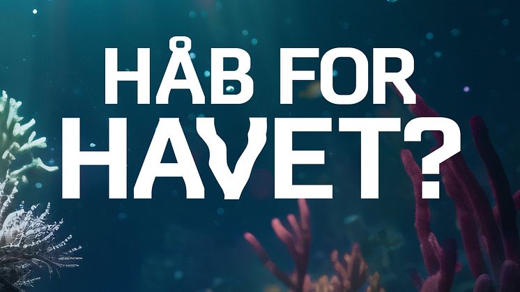 Håb for havet_presse 2.jpg