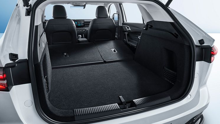 Trunk-1.jpg